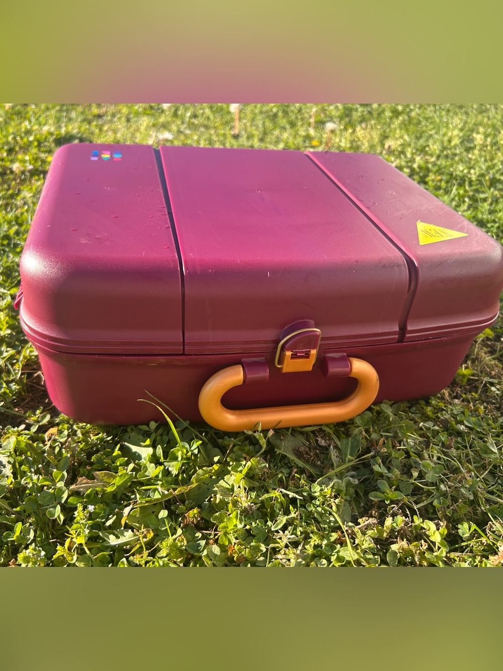 VINTAGE CABOODLES makeup case